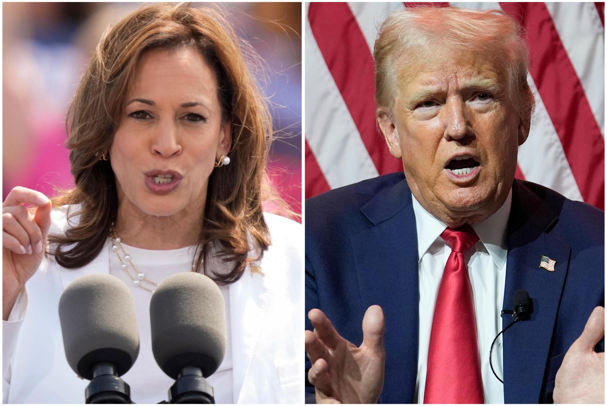 Former President Donald Trump is 3 percentage points ahead of Vice President Kamala Harris in the August 2024 poll of Florida voters conducted by Florida Atlantic University. (AP Photo/Charles Rex Arbogast)