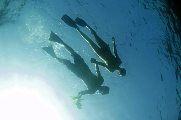 Snorkelers pair up to explore a shipwreck trail in Lauderdale-By-The-Sea. (Town of Lauderdale-by-the-Sea/Courtesy)