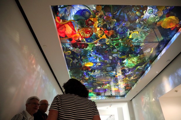 A Dale Chihuly installation on the ceiling, part of the Norton Museum of Art's $100 million renovation, is shown in West Palm Beach on Friday, Nov. 30, 2018. Amy Beth Bennett / South Florida Sun Sentinel