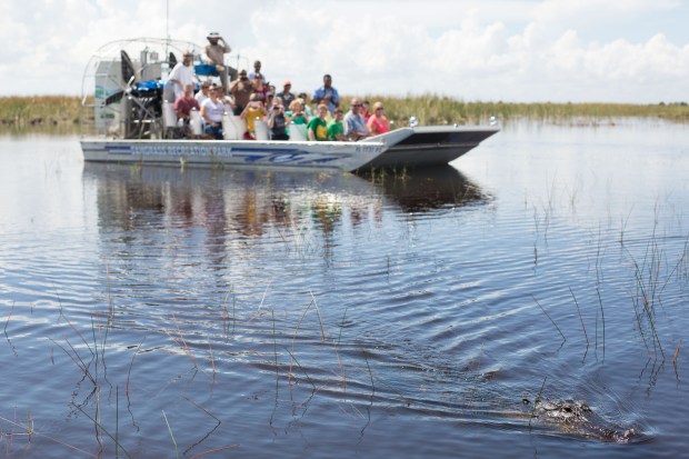 Take an airboat ride at Sawgrass Recreation Park and be on the lookout for gators. (Sawgrass Recreation Park/Courtesy)