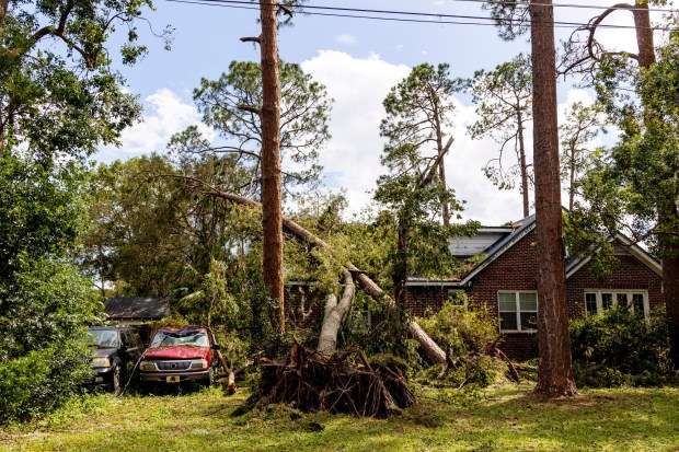 A pair of trees fell onto the roof of a home in Perry, Fla., on Thursday, Aug. 31, 2023. Taylor County felt the full impacts of Hurricane Idalia, which made landfall near Category 4 strength on Wednesday morning. (Patrick Connolly/Orlando Sentinel)